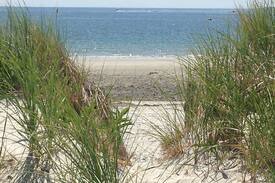 Duxbury House | Saquish Beach Ocean view cottage Minimum 7 nights