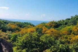Mazunte House | Mirador Columpio del Reptil