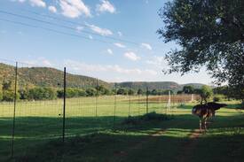 Vredefort Other | Vredefort Dome River house