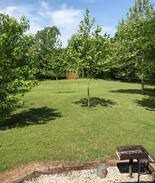 Davis Cabin | Washita River Cabin - Turner Falls/ Davis