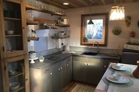 Old Irving Park House | Eco-friendly Treehouse: The Roost!