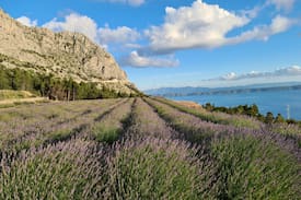 Podgora Villa | VILA FOREVER PAULA - APARTMAN 2