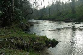 Clyde Cabin | Hearthstone Cabin on the creek