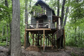 Plymouth House | Treehouse & Magician Estate - Experience