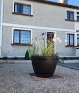 Claddagh House | The Claddagh Rose