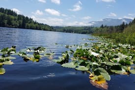Quilcene House | Lake Leland Getaway