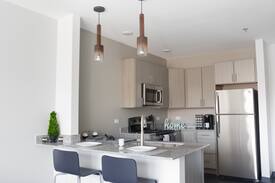 Harrisonburg Apartment | Altitude @ Stone Port Luxury 1 Bed/1 Bath 530