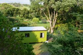 Waipu Cove Cabin | Glorious Tangle Cabin - Beach access to Waipu Cove