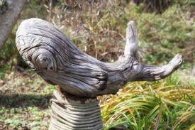 Cleone House | Why The Whale Knot