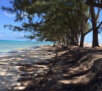 Alice Town Apartment | Resorts world bimini 32321
