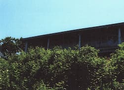 Gosnold House | Cuttyhunk Cottage: Folly