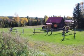 Hastings Highlands Cabin | Cabins on the York - Wolf Cabin #4