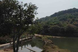 Sohra Other | Encamp Adventures - Weiing forest camping