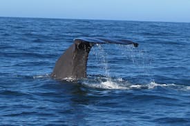 Kaikoura Bed & Breakfast | Ruth's