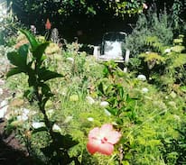 Kalk Bay House | The Garden Cottage