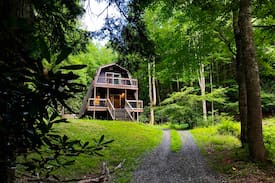 Hot Springs Cabin | Modern Cabin near Max Patch