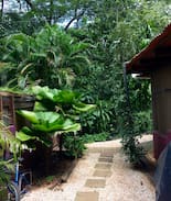 Tamarindo Apartment | Casa Chandra #4