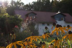 Penig Apartment | Ferienwohnung im Naturschutzgebiet & Stadtnähe