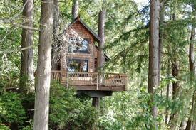 Vashon Island Other | Eagles’ Bluff Treehouse