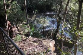 Stanwell Tops House | TopStay Accommodation A Tiny Home with bush views