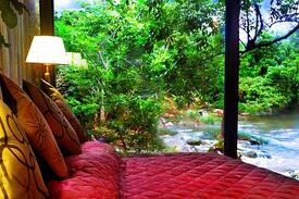 Buttala Resort | KumbukRiver Tree Luxuria
