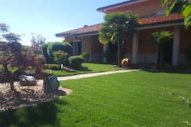 Calosso Villa | Villa Luigi - Swimming pool and vineyards