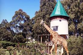Naivasha Other | The Folly