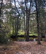 Newtonville Cabin | River's Edge Cabin I