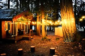 Packwood Cabin | Uncommon Bear Cabin - White Pass / Mt Rainier