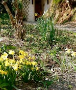 Machynlleth Cabin | Pretty sunny cottage, Machynlleth