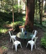 Brookdale Cabin | Clear Creek Cabin in the Santa Cruz Redwoods