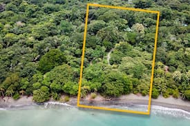 Quebrada La Gamba Villa | Monkeys n Mangos Beach Jungle Casa Osa Peninsula