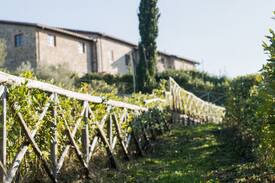 Pancole House | Hamlet House in Borgo Case Bardi