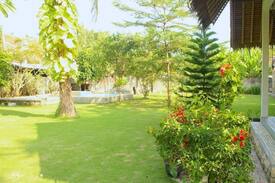 Batu Karas House | Nihla Homestay Batukaras