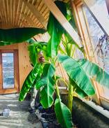 Westbank House | Greenhouse in West Kelowna