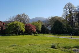 Bryansford Cabin | Bryansford Cottage (Newcastle Co Down / Tollymore)