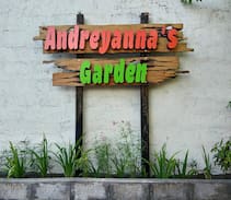Santa Rita Other | Andreyanna’s Garden