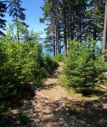 Hancock Point House | Tidal Vista, Downeast Maine