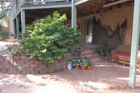 Mallacoota Apartment | Bellbird Retreat Mallacoota (we're back)