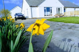 Kilronan Bed & Breakfast | Mary Joe's B&B With Terrace