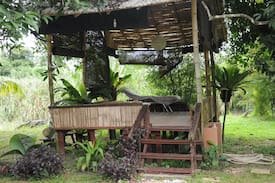 Sungai Buloh Cabin | Dayung Lodge (AKA Laman Dayung)