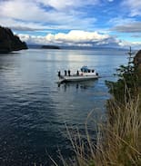 Homer Cabin | Water's Edge Cabin in Halibut Cove Lagoon