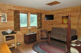 Delton House | Yankee Springs Off the Grid Cabin