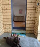 St Leonards House | The Dairy
