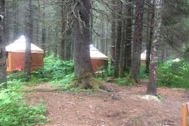 Bear Creek Other | Alaskan Yurt in Fairy Tale Forest-Raven's Roost
