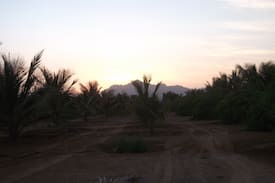 Dadna Other | Farmhouse in Dibba, Fujairah