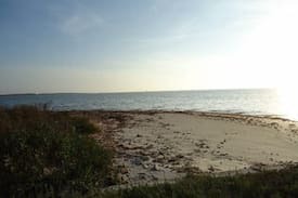 Ingleside on the Bay Cabin | The Brass Turtle Lodge - Heron Hut