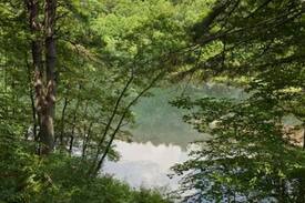 Ellijay Cabin | Crystal Lake | Ellijay, GA