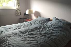 Hundsbach Apartment | schöne 4-Zi.-Familien-/Ferienwohnung am Waldrand