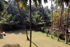 Palghar Other | Coconut Jungle Camping, Laxmi Garden, Shirgaon